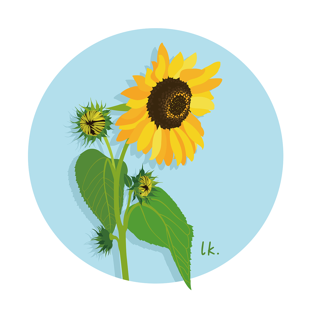 植物插画练习（图ZOTEwMTg5MDQ=） - 创作习作 - 站酷设计师linkeke原创素材 - 站酷ZCOOL