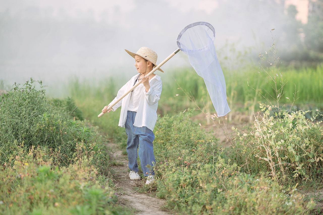 男孩纸的小森林
