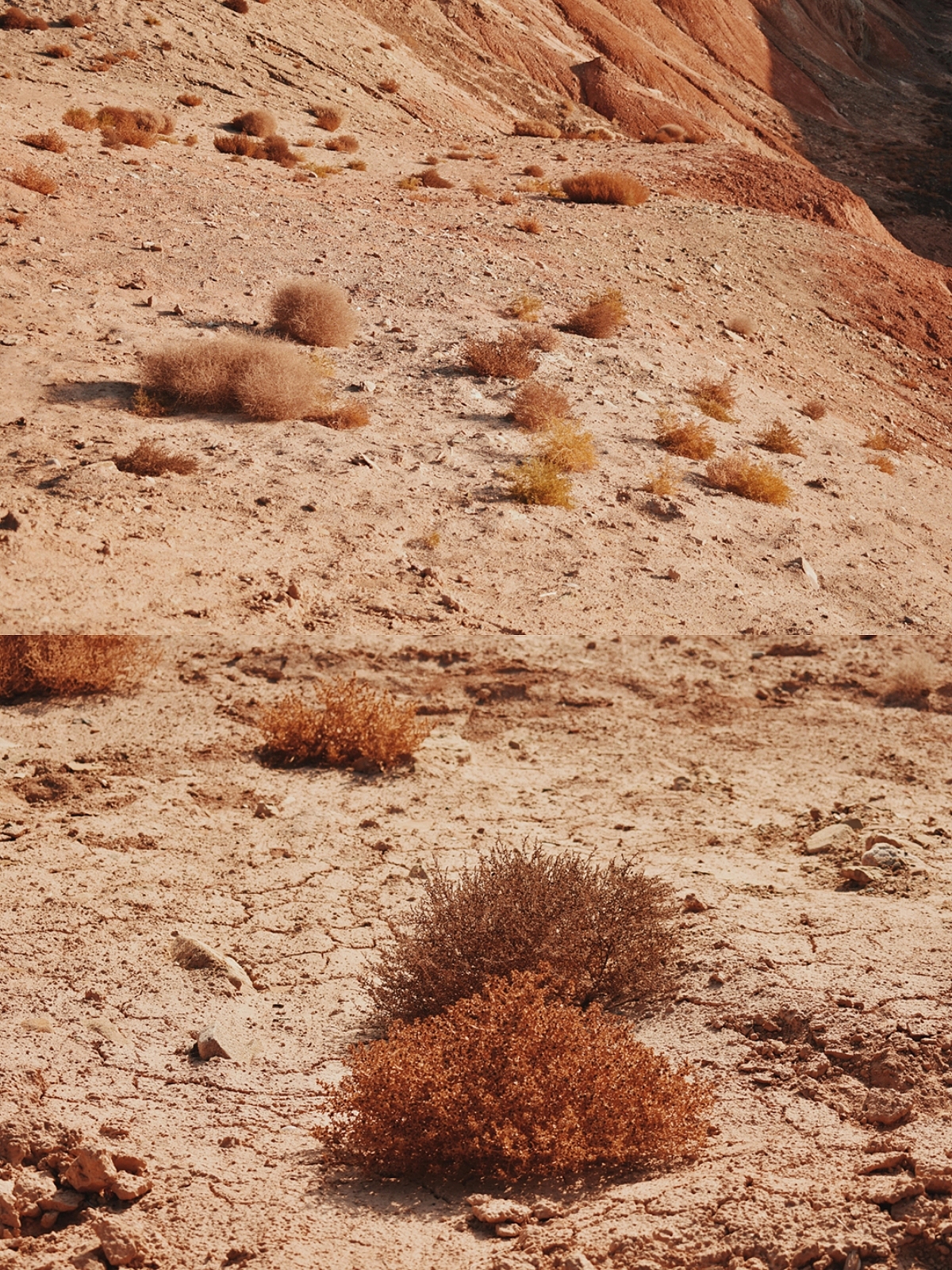 摄影作品-丹霞-大地色盘