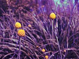 《假装刚去过外星球》