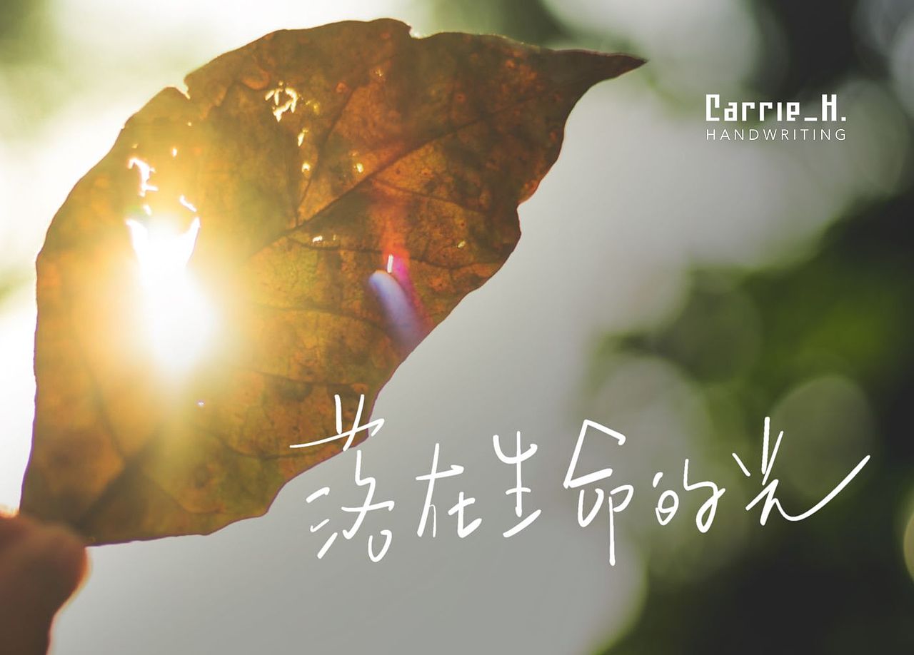 手写字|手写歌词(二)（图ZMzM2NDYyMjQ0） - 字体/字形 - 站酷设计师Carrie_h原创素材 - 站酷ZCOOL