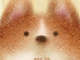 绘本