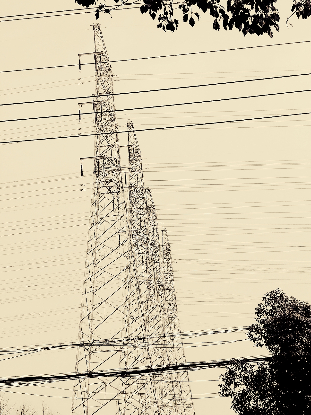 滤镜（图ZMTQ5NzMzNzg0） - 风光摄影 - 站酷设计师王大毛毛原创素材 - 站酷ZCOOL