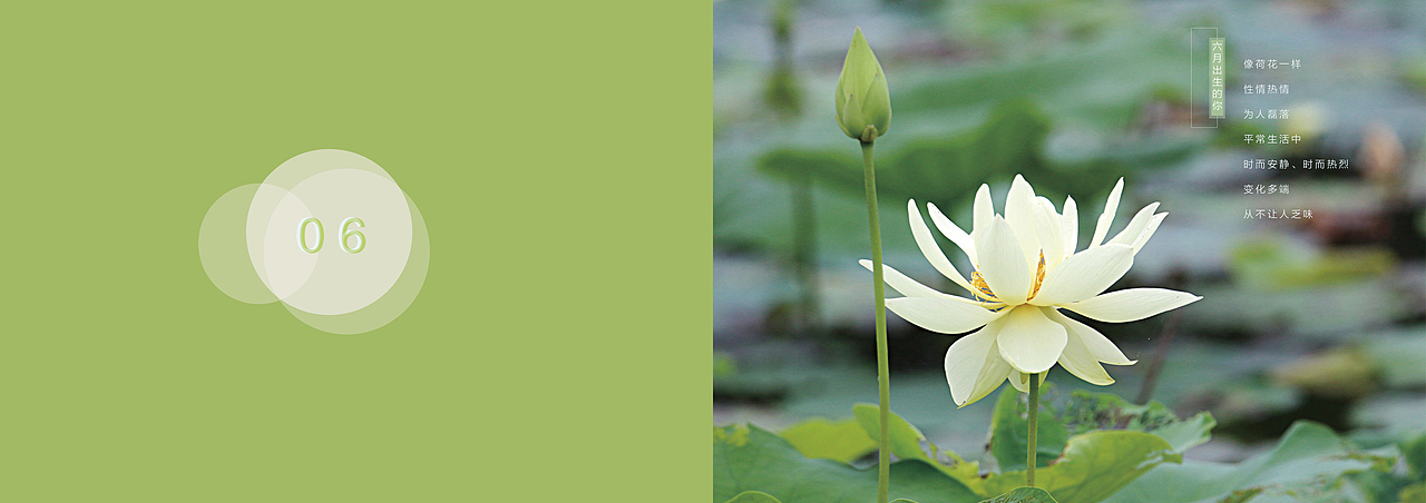 纪念（图ZMTI5MjE1MjA0） - 书籍/画册 - 站酷设计师三木C原创素材 - 站酷ZCOOL