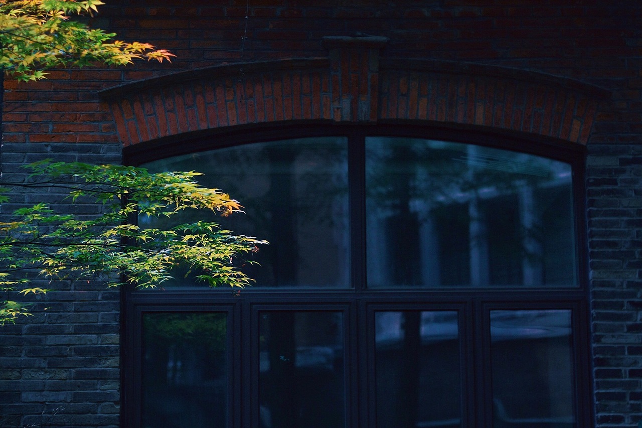 上海校园里的春光