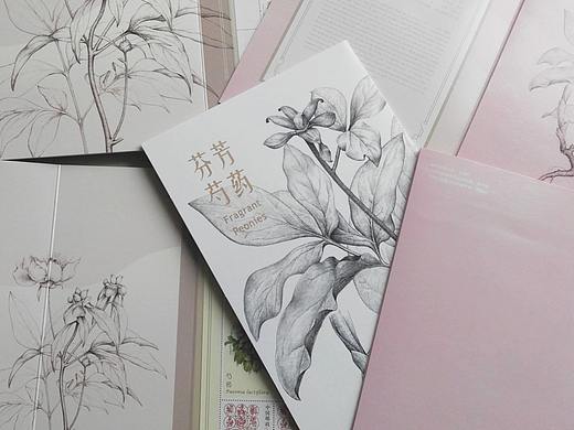 中國(guó)郵票總公司-《芬芳芍藥》小折版（封面及插圖）（個(gè)人主頁(yè)-ZMzYzNTU0NzY=） - 藝術(shù)插畫(huà) - 站酷設(shè)計(jì)師尋山追水原創(chuàng)素材 - 站酷ZCOOL