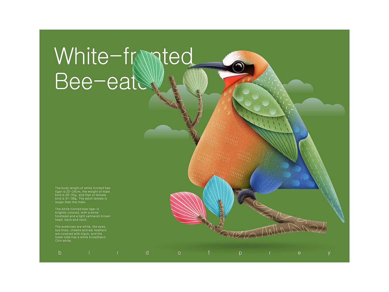 鸟儿（图ZMjEwNTYzNDc2） - 绘本 - 站酷设计师言身寸言身寸原创素材 - 站酷ZCOOL