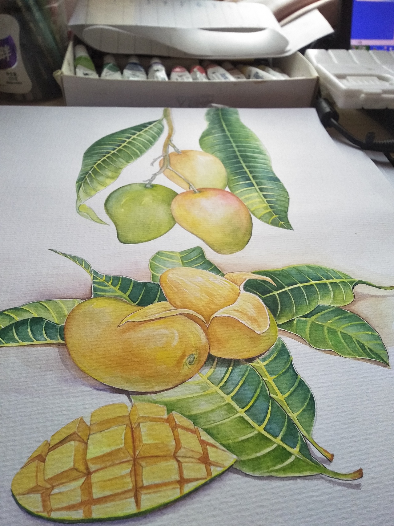 二十四节气水果手绘（图ZMTQxMDg1MTg4） - 商业插画 - 站酷设计师MY柠檬原创素材 - 站酷ZCOOL