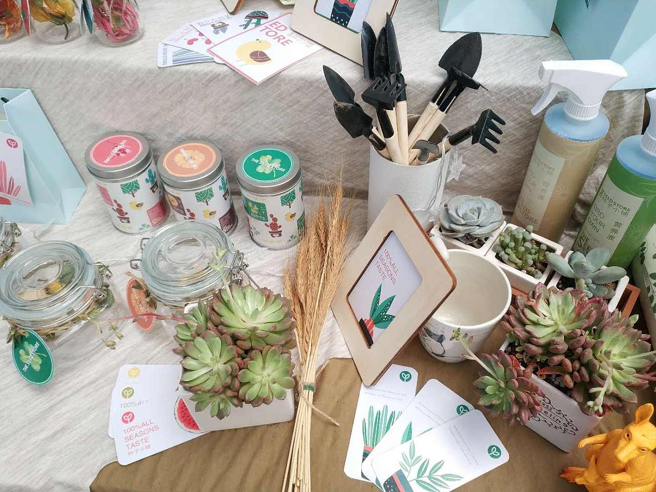 多肉种子包装 毕业设计（图ZMTI0Nzc2Nzky） - 包装 - 站酷设计师陈辰沉尘晨臣原创素材 - 站酷ZCOOL