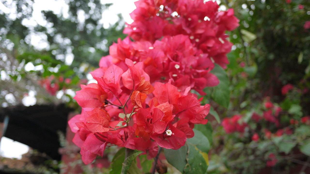 第一天 海口❤一个人的旅行