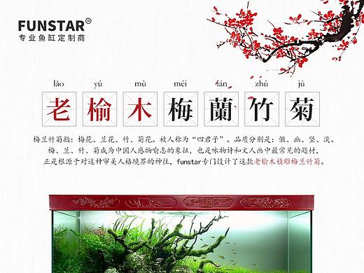 鱼缸详情