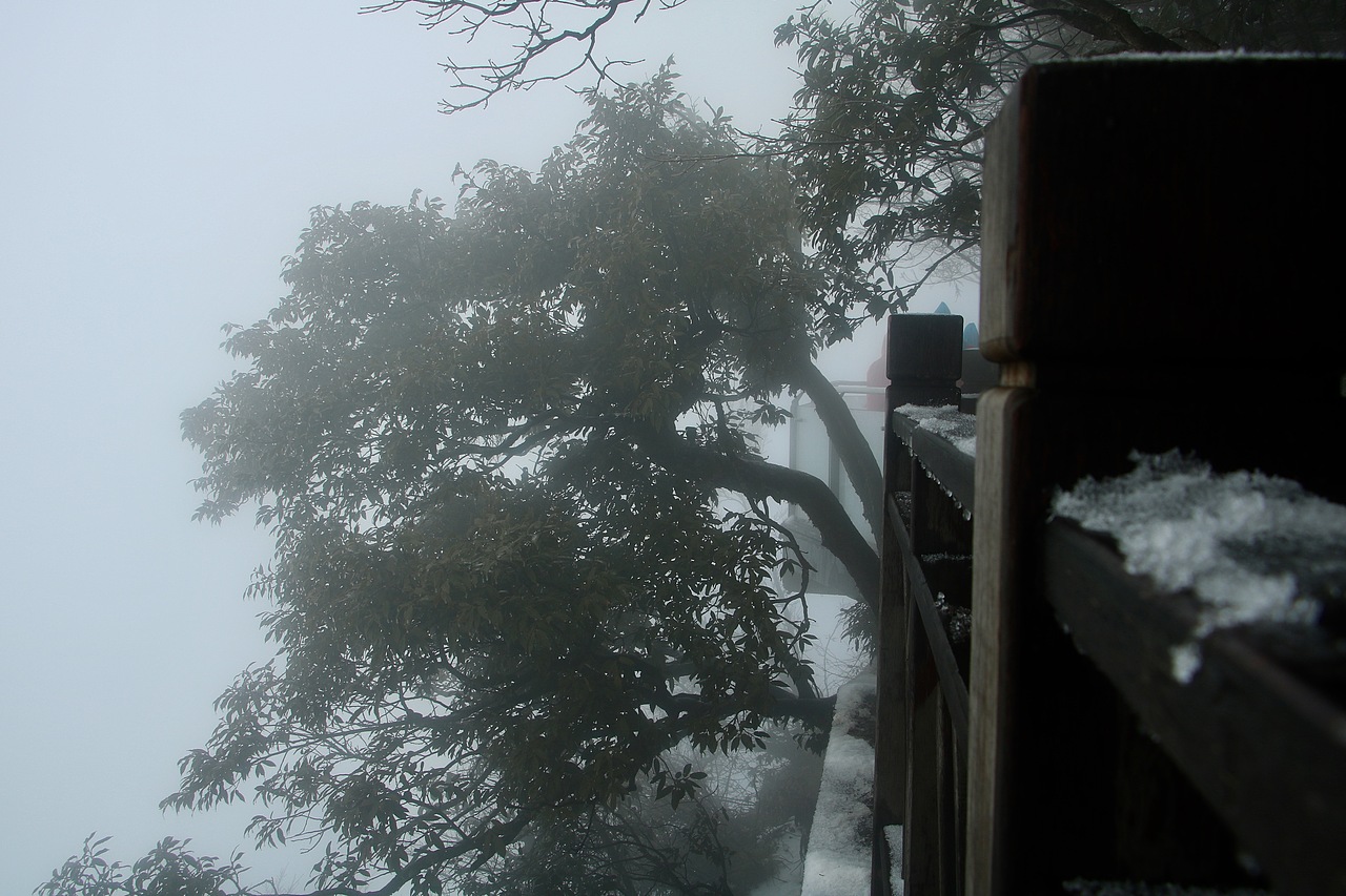 山上的冰雪世界