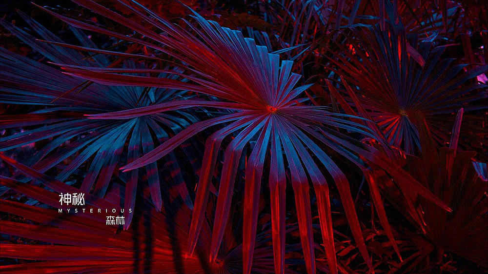 星楽Beer品牌logo设计