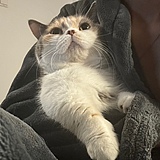 Niiiiiiiiianq的头像