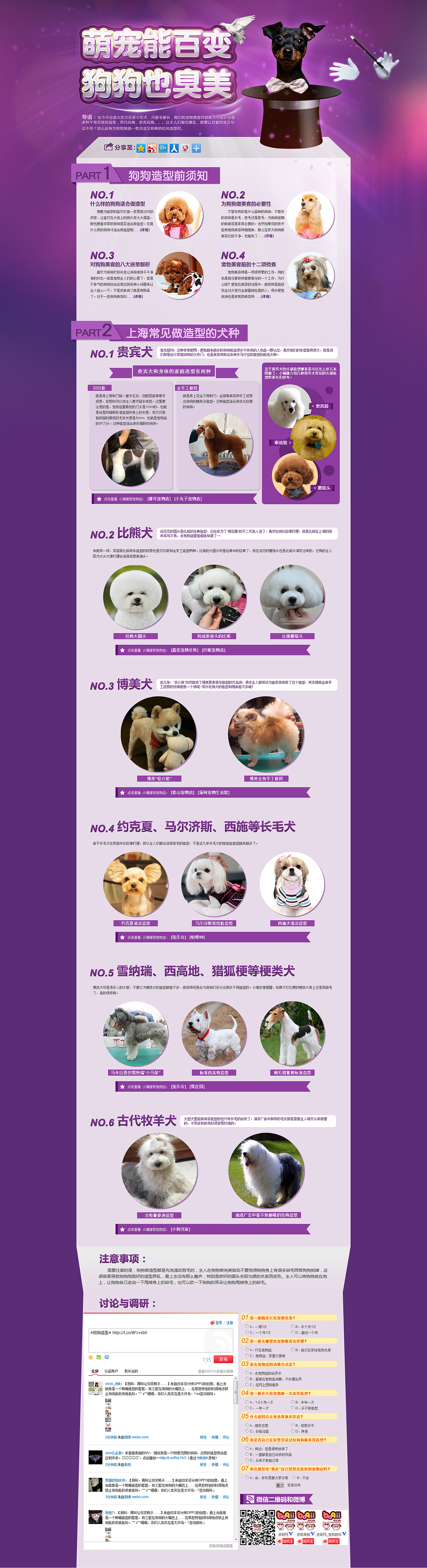 宠物banner（图ZNDQyODEyNjA=） - 运营设计 - 站酷设计师古心惜月原创素材 - 站酷ZCOOL