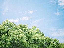 今日晴，初夏的早晨