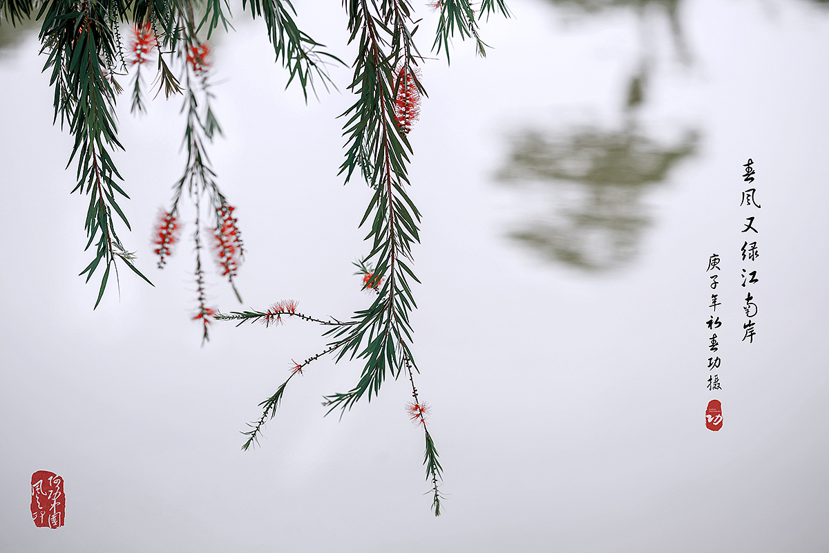 春天来了（图ZMTk4NTA5MDEy） - 风光摄影 - 站酷设计师阿功人像原创素材 - 站酷ZCOOL