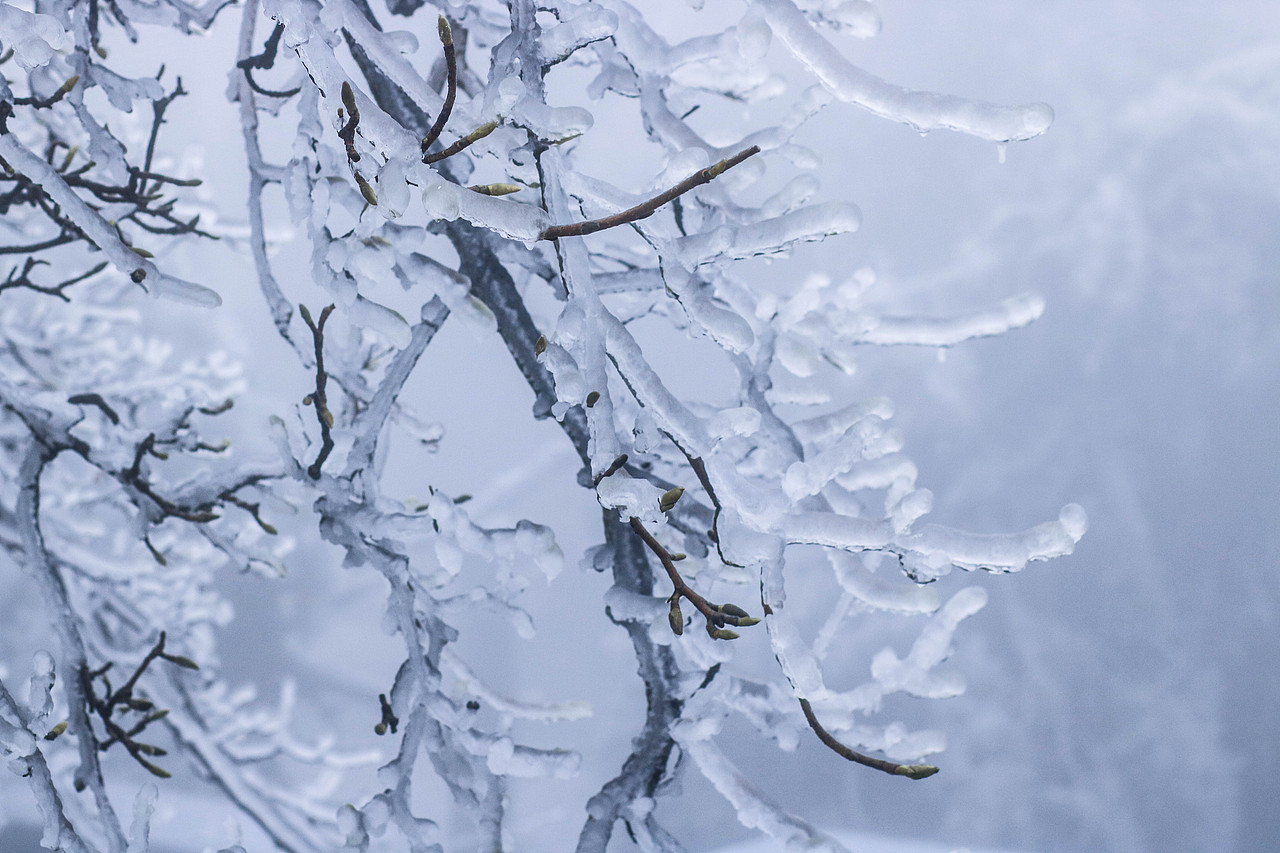 【庐山•雾凇】（图ZMTAyMjMwNzQw） - 风光摄影 - 站酷设计师新权原创素材 - 站酷ZCOOL