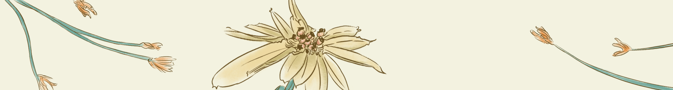 斑bo的个人主页（封面预览） - 主页封面设置 - 站酷设计师斑bo原创素材 - 站酷ZCOOL