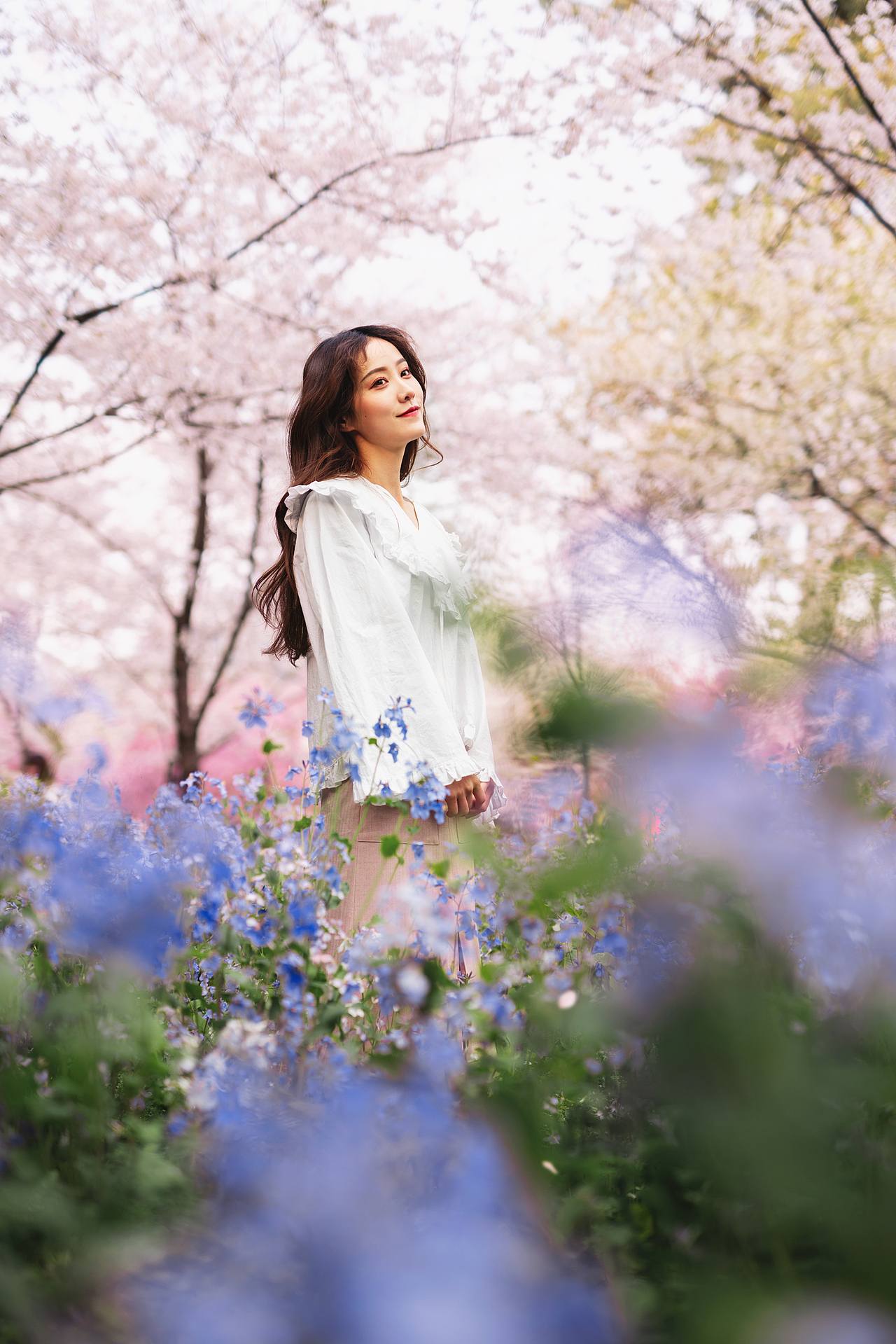樱花少女（图ZMTgzODY1MzAw） - 人像摄影 - 站酷设计师高高飞原创素材 - 站酷ZCOOL