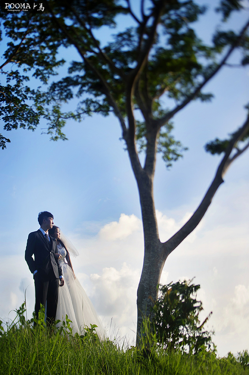 一生总有风雨,也并肩散步淋雨。