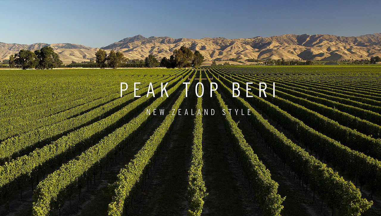 新西兰黑莓包装