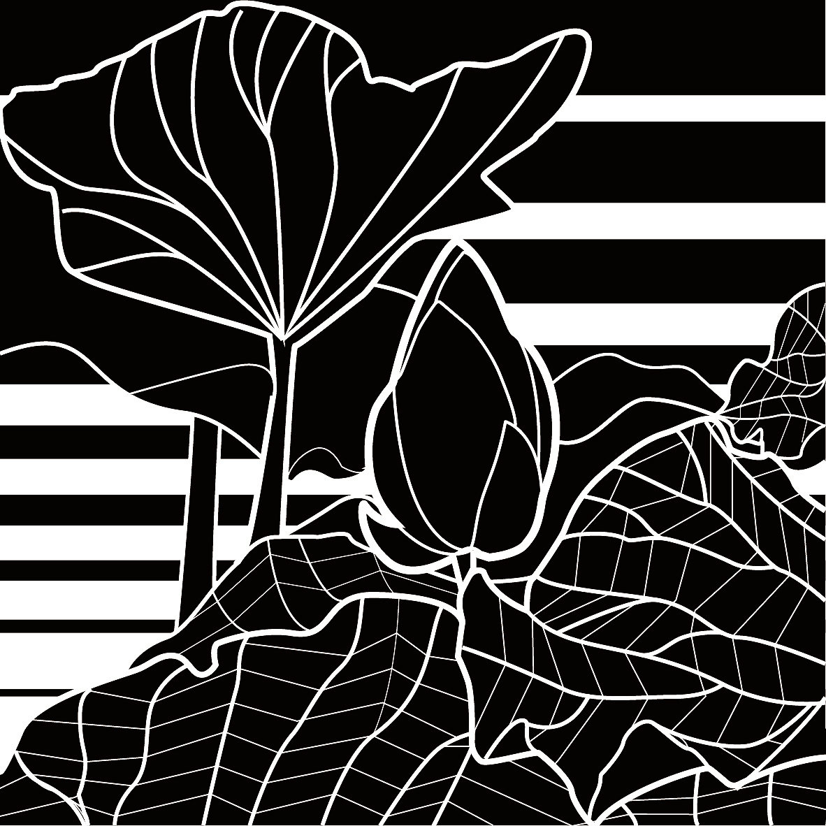 概括提炼,概括物体的外轮廓,抓住外轮廓的特征,不拘泥于细部.