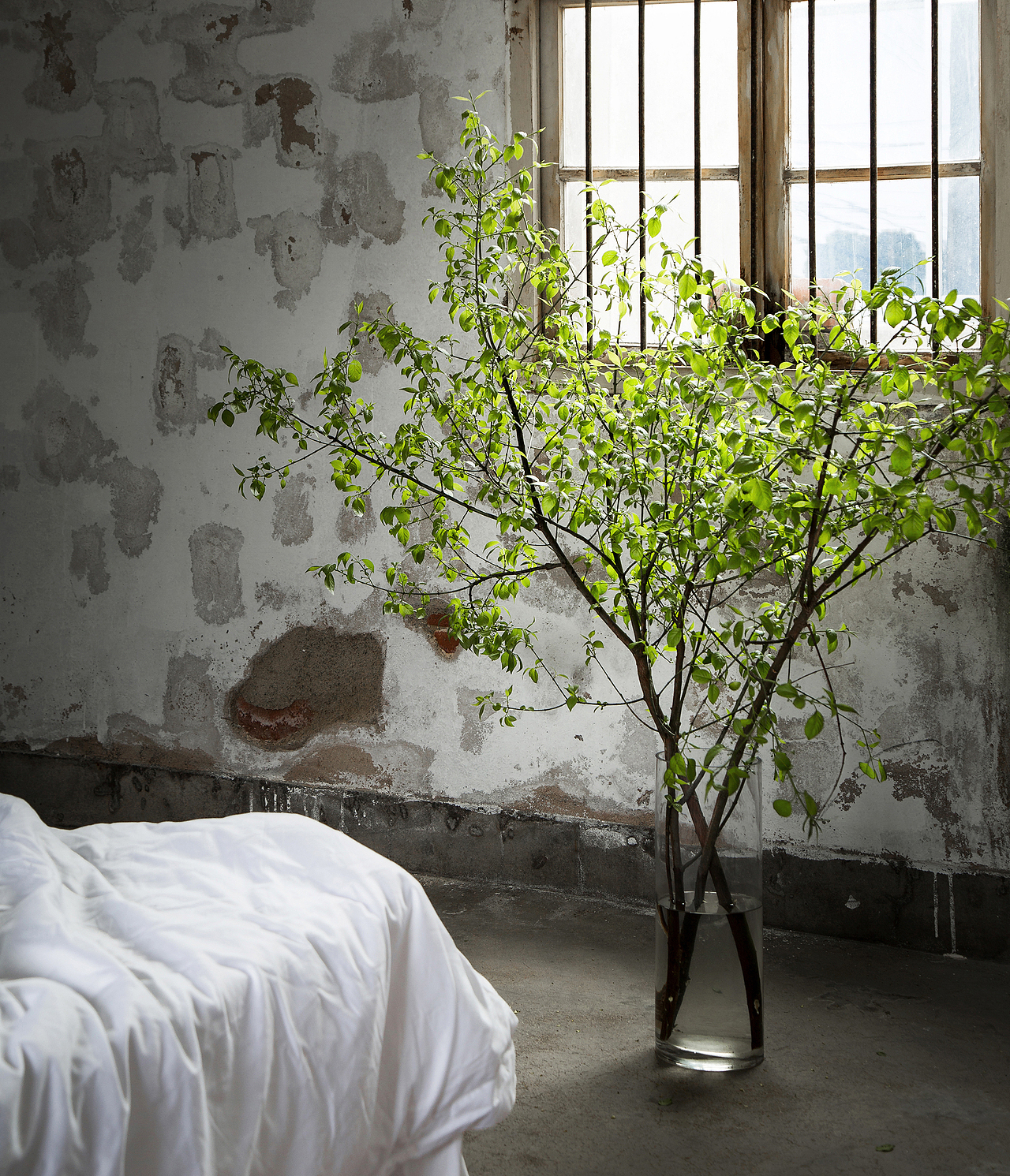 失踪旅馆&不见酒店