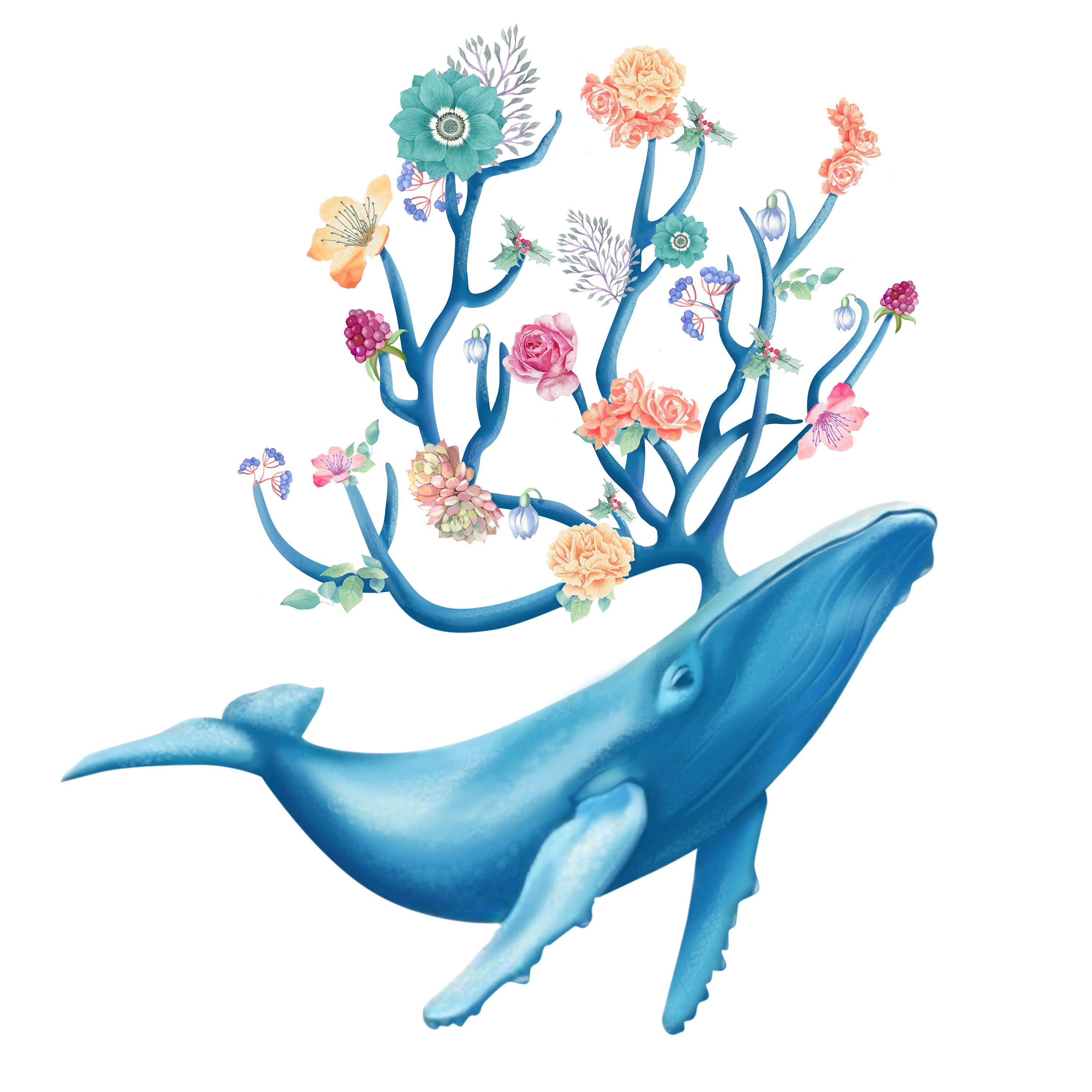 鲸鱼|插画|插画习作|王小明做设计 - 原创作品 - 站酷 (ZCOOL)