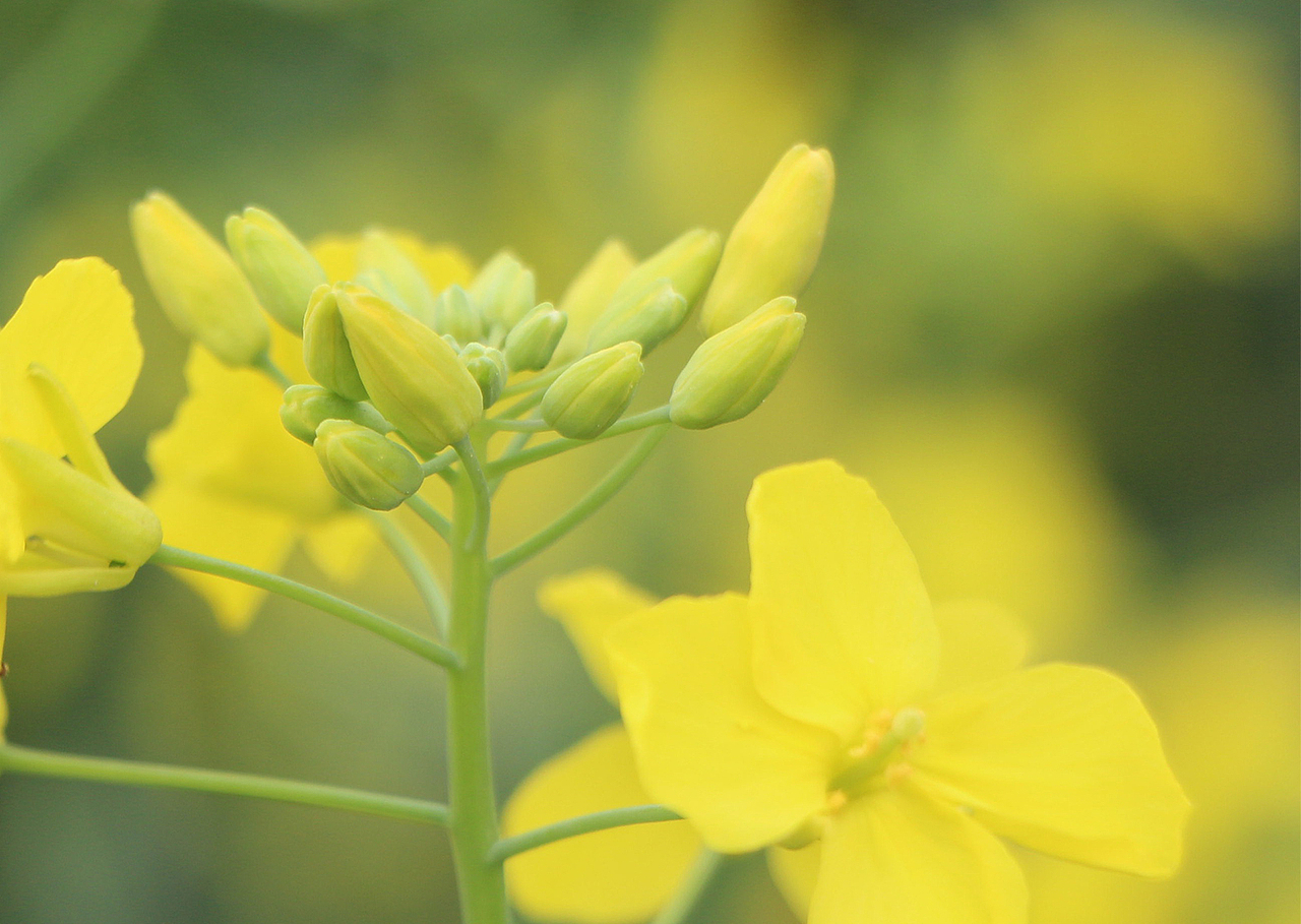 大学日常摄影作品