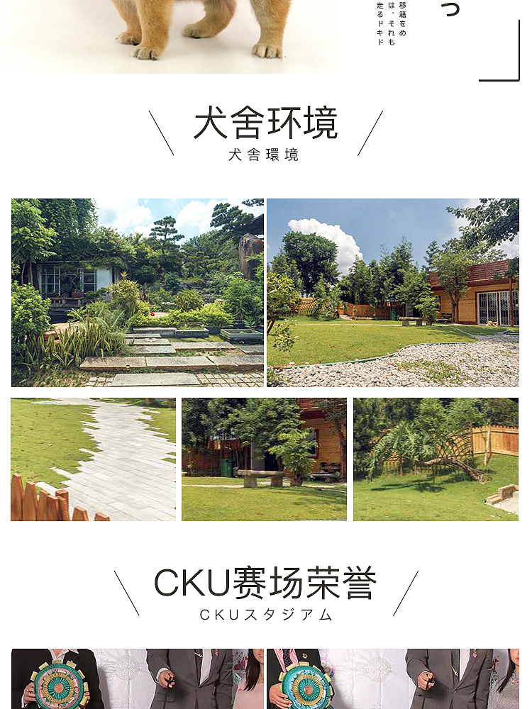 柴犬详情页（图ZMjEyMzU4MjU2） - 电商 - 站酷设计师九十点原创素材 - 站酷ZCOOL