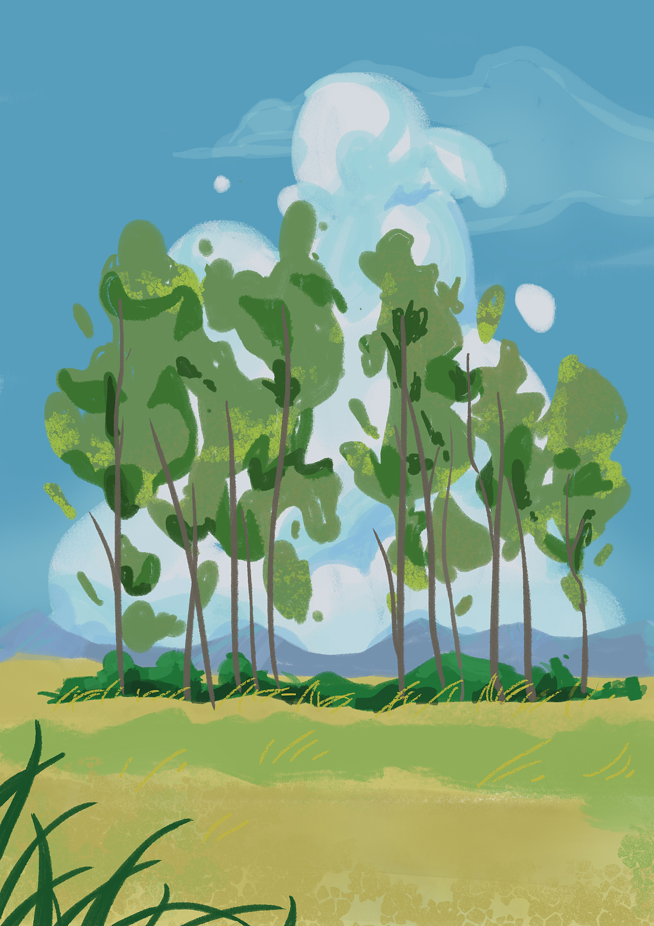 色彩60天打卡练习