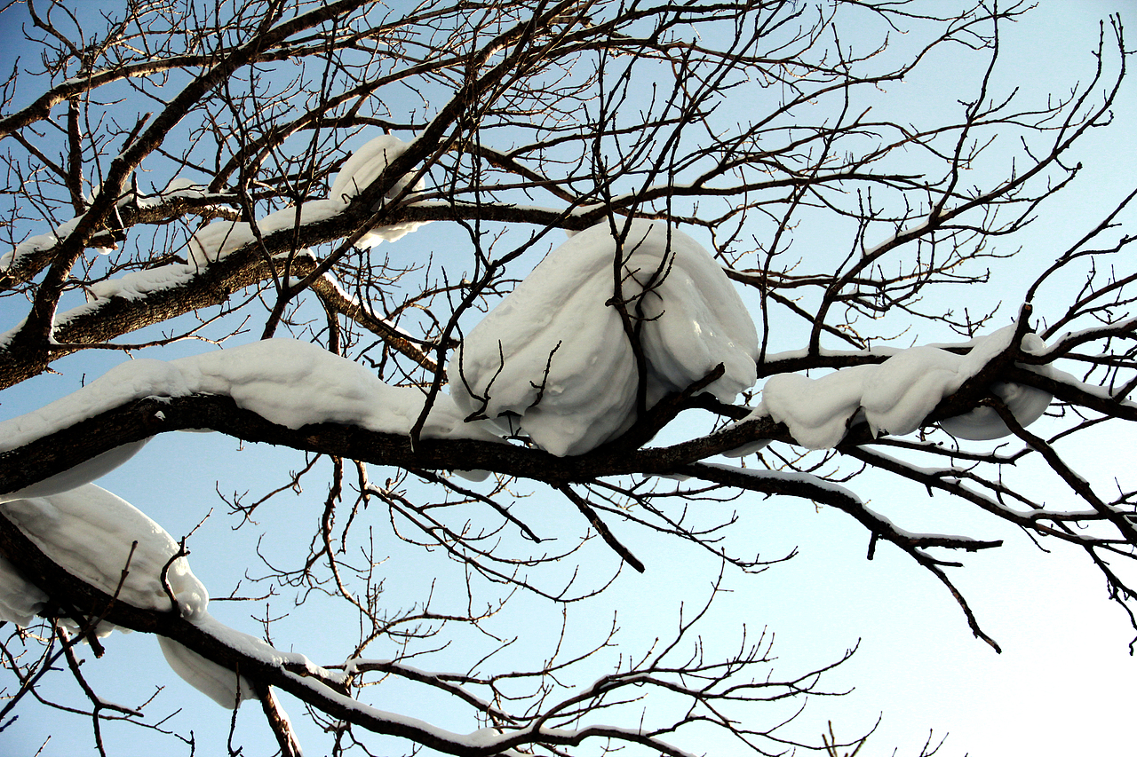 摄影-雪乡（图ZMzU3NTA3NTY=） - 风光摄影 - 站酷设计师步忧原创素材 - 站酷ZCOOL