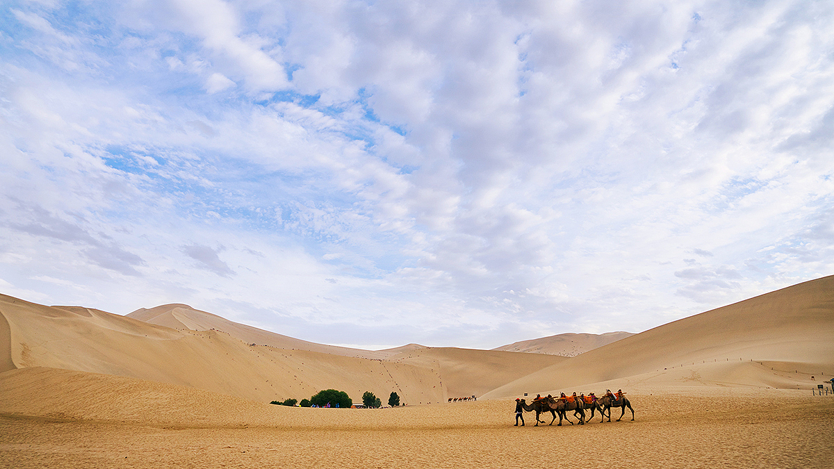 Diana 图记 I 青甘大环线 D4下 沙漠绿洲鸣沙山月牙泉