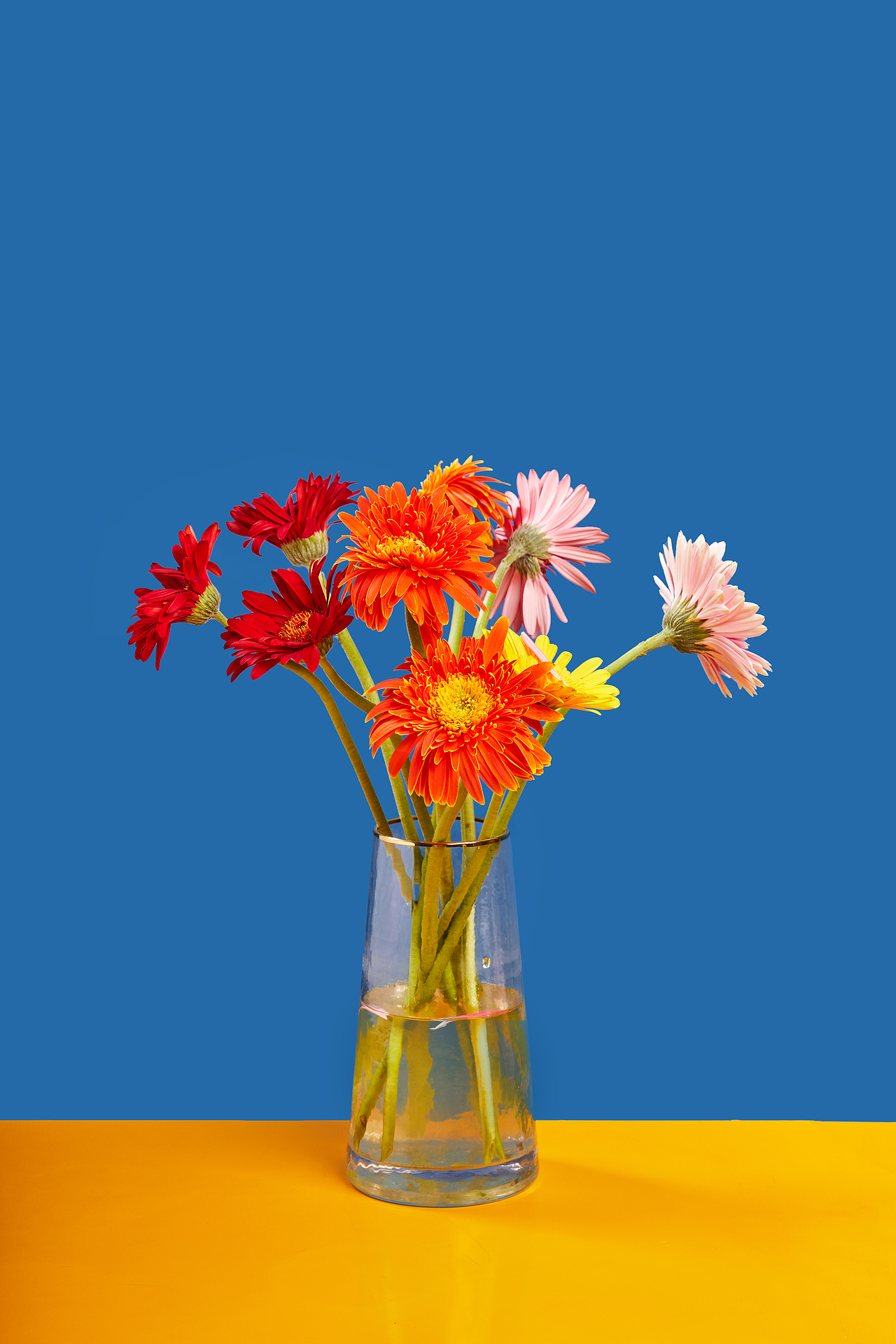 颜色比较艳丽的小片