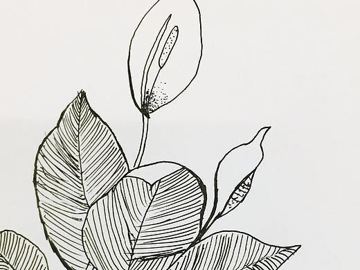 每日一涂2/100（2018.3.05）（個(gè)人主頁-ZMjYzODEzMTY=） - 圖案 - 站酷設(shè)計(jì)師pikajuan原創(chuàng)素材 - 站酷ZCOOL