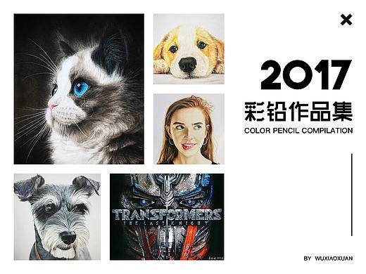 2017彩铅作品集