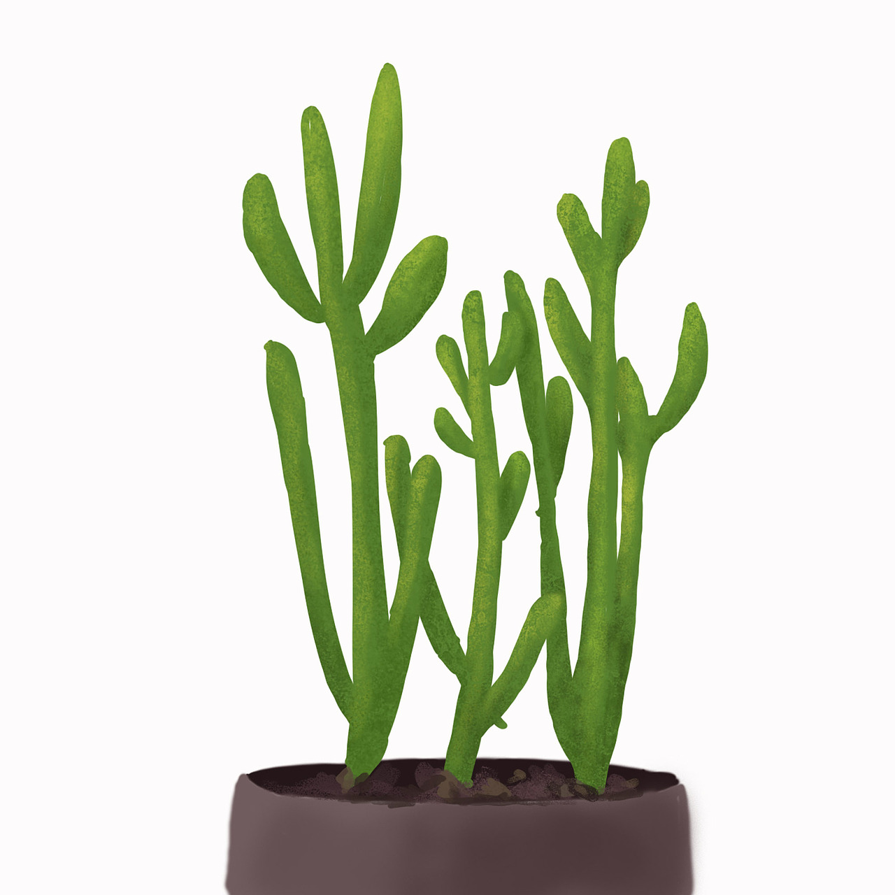 插画练习,人物动物植物