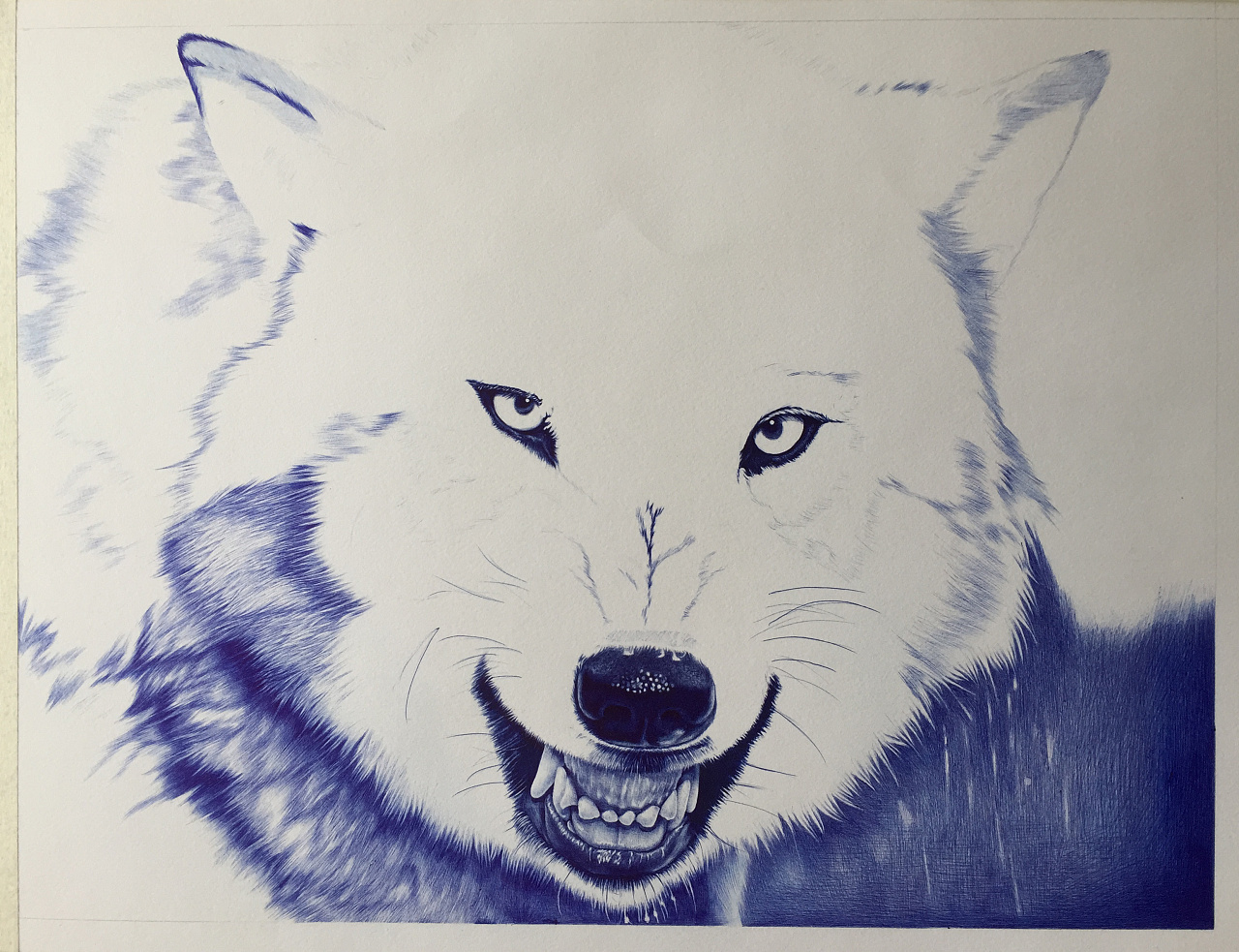 圆珠笔四开狼一只