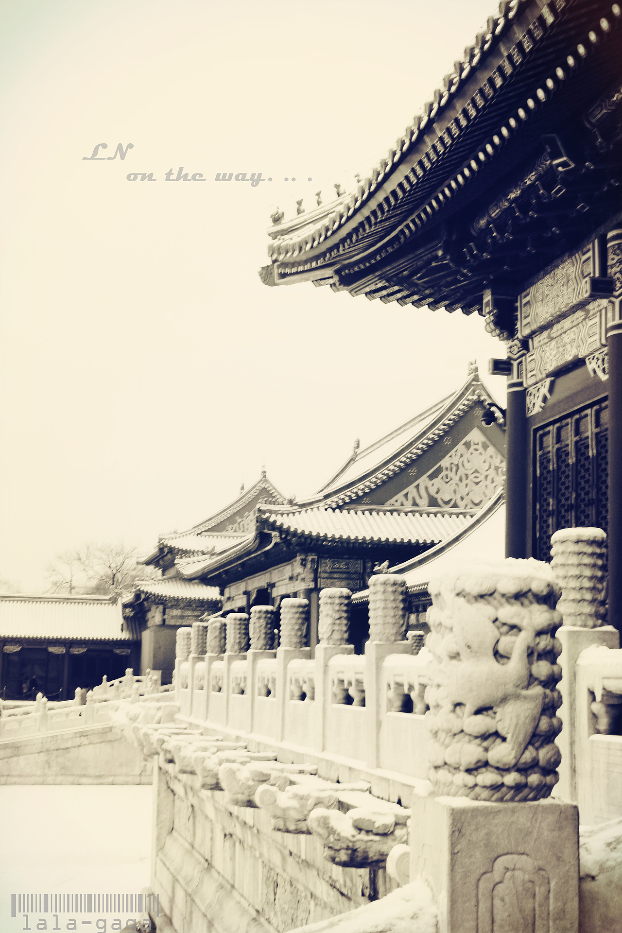 被拍烂了的故宫雪景 . .. 我也凑热闹 