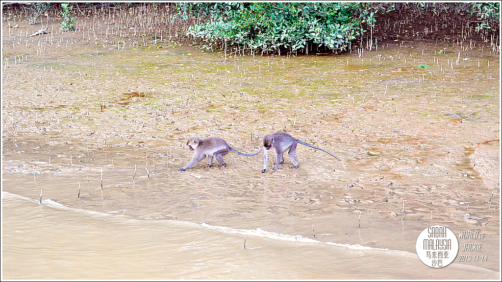 2013-11-12~15 Sabah, Malaysia 马来西亚 沙巴（图ZMzQ2NTgyOTI=） - 风光摄影 - 站酷设计师Jackie原创素材 - 站酷ZCOOL