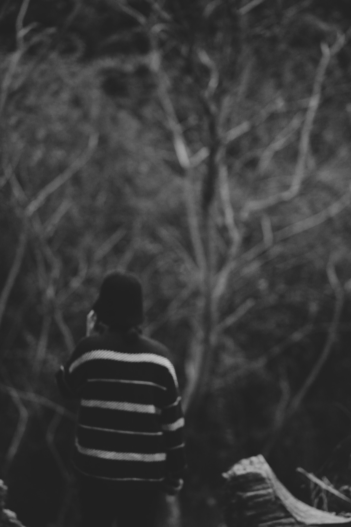 日落时,把自己还给生活。