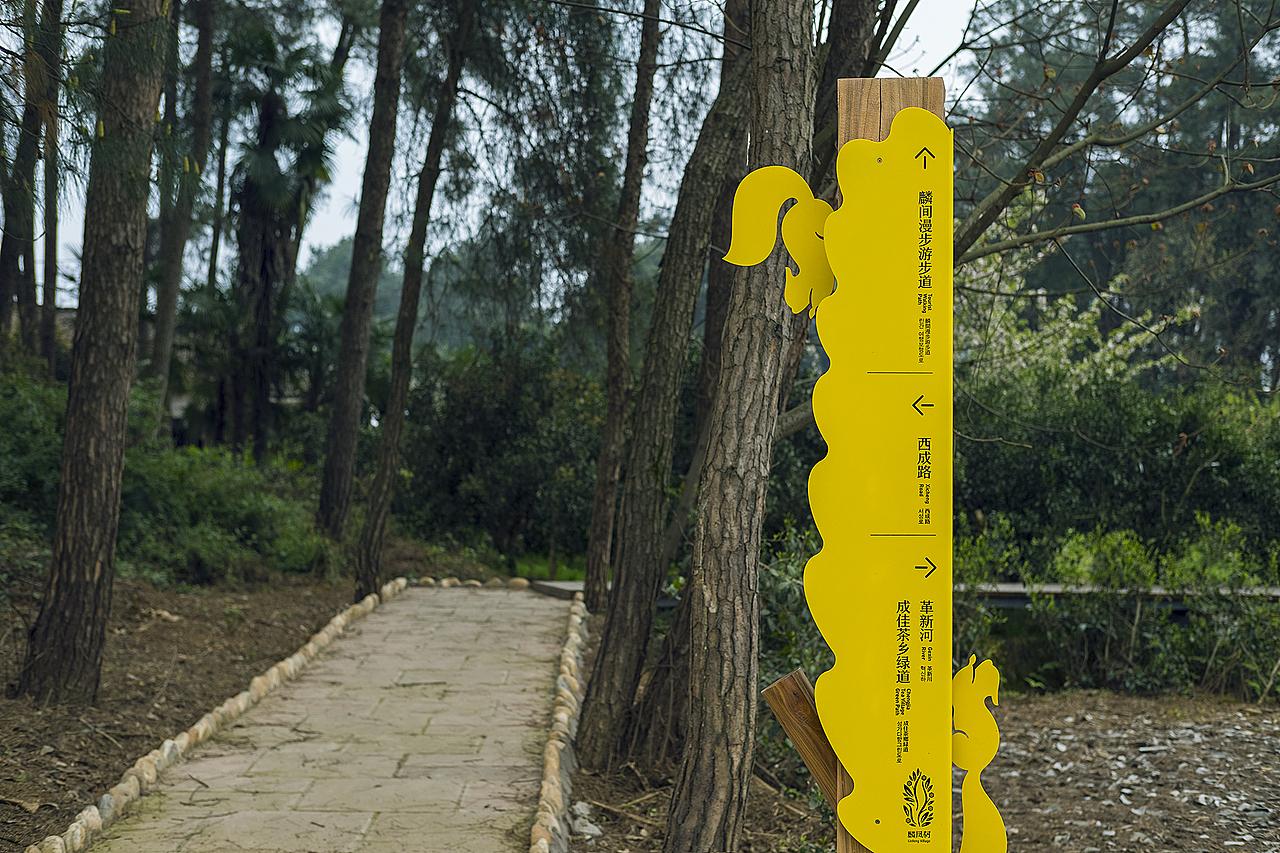 我为村里做设计