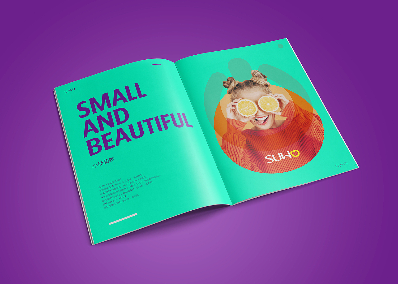 SUWO科技 logo设计