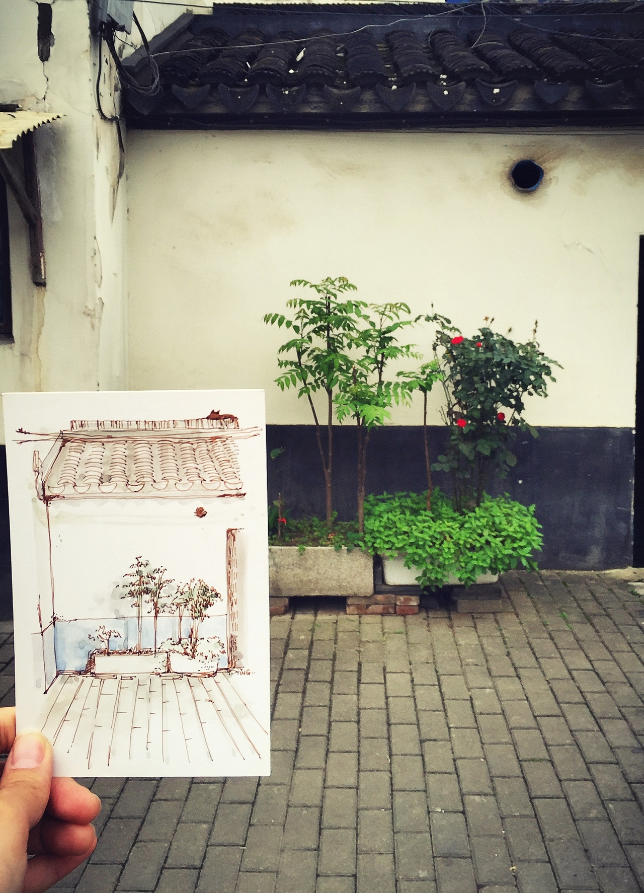 苏州，老城一角↑