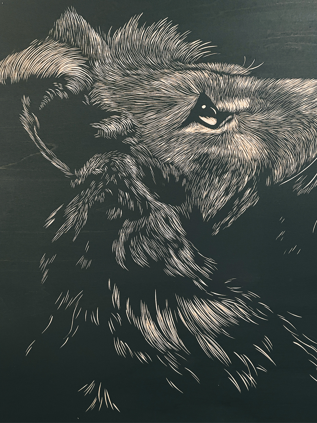 手工雕刻黑白木刻版画狮子