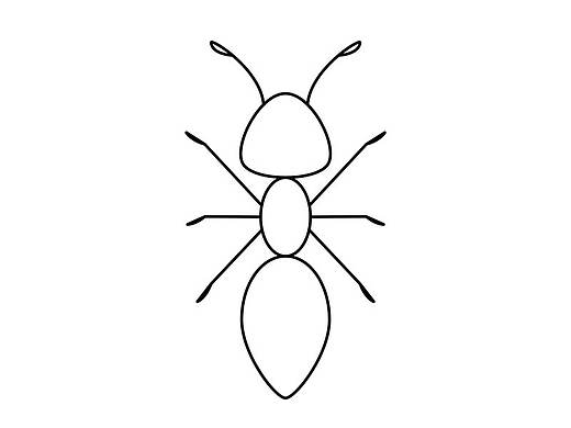 蚂蚁简笔画