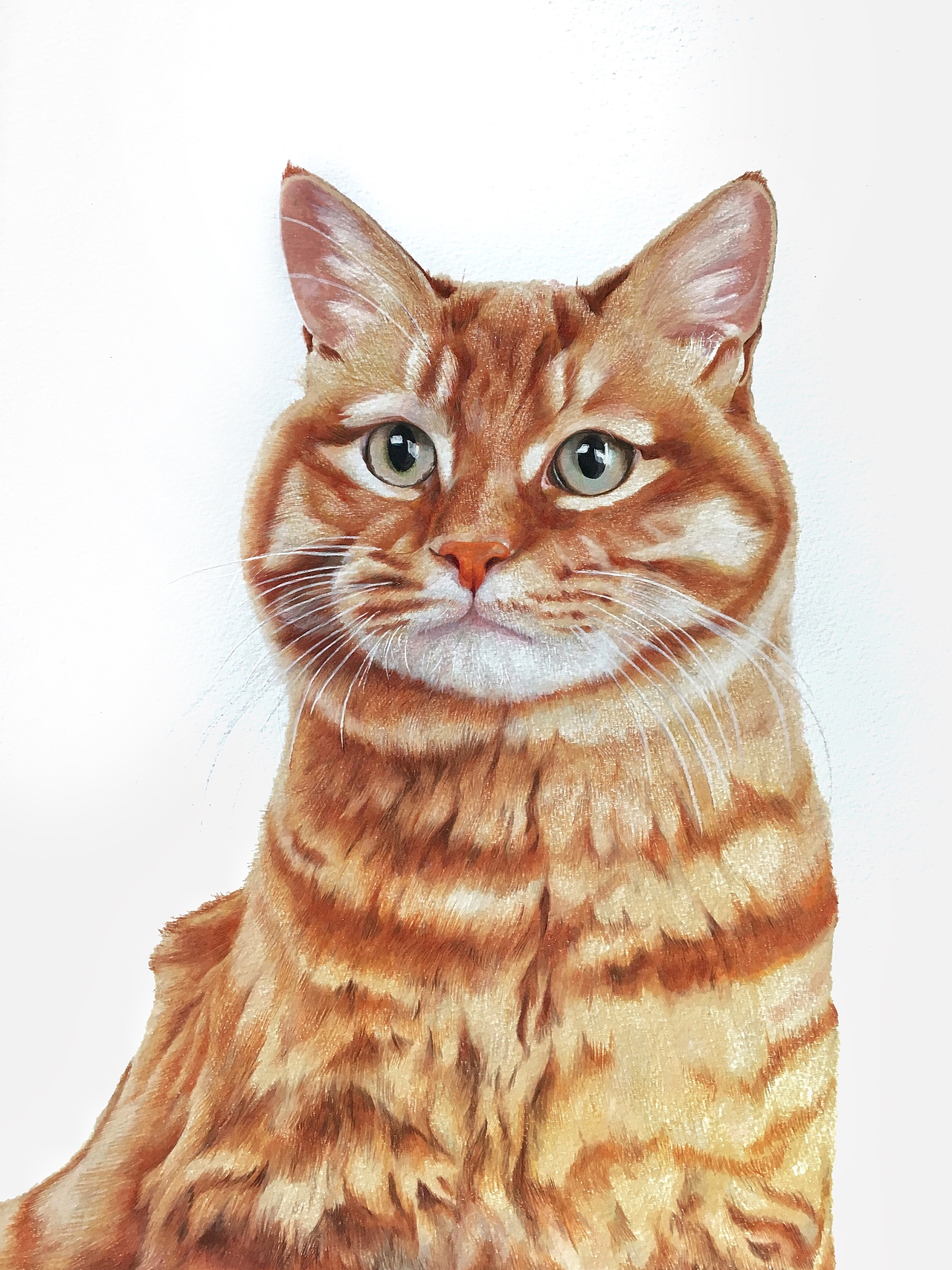 画册《观复猫 妙笔生猫非非诗》(图ZMjM5NTM1NDcy) - 绘本 - 站酷设计师柴永生原创素材 - 站酷ZCOOL