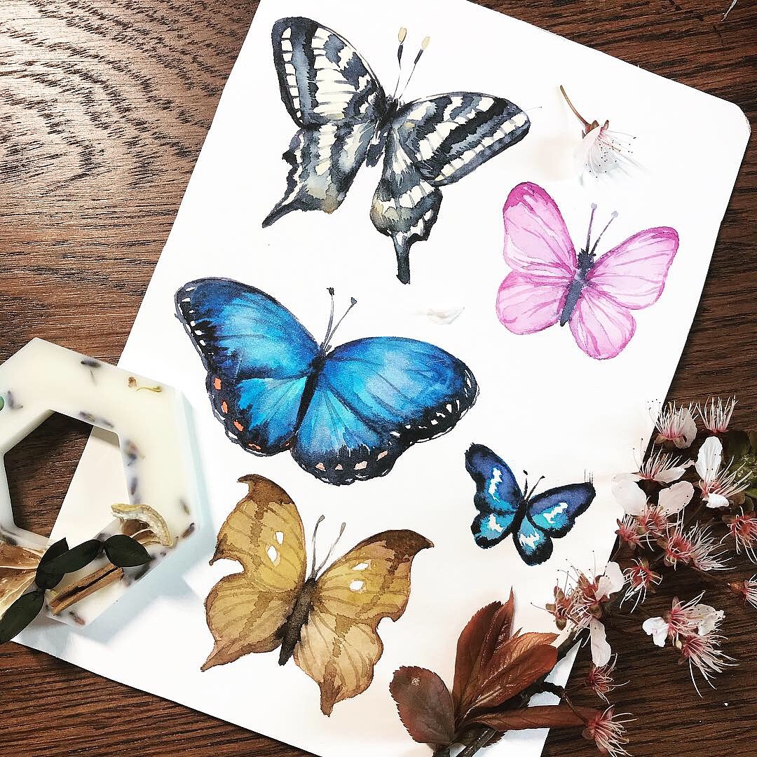 如何用水彩画蝴蝶？