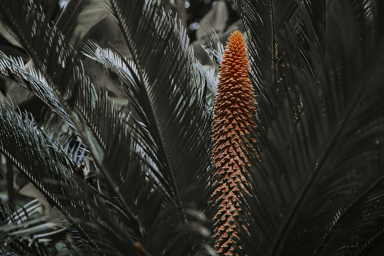 青秀山（图ZMTYxNzU2MjIw） - 风光摄影 - 站酷设计师南西_原创素材 - 站酷ZCOOL